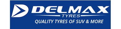 pneu delmax
